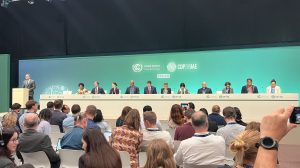 COP28