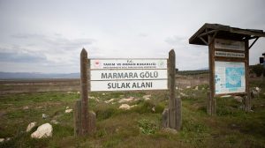 sulak alanlar