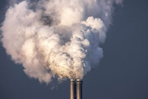 küresel karbon piyasası