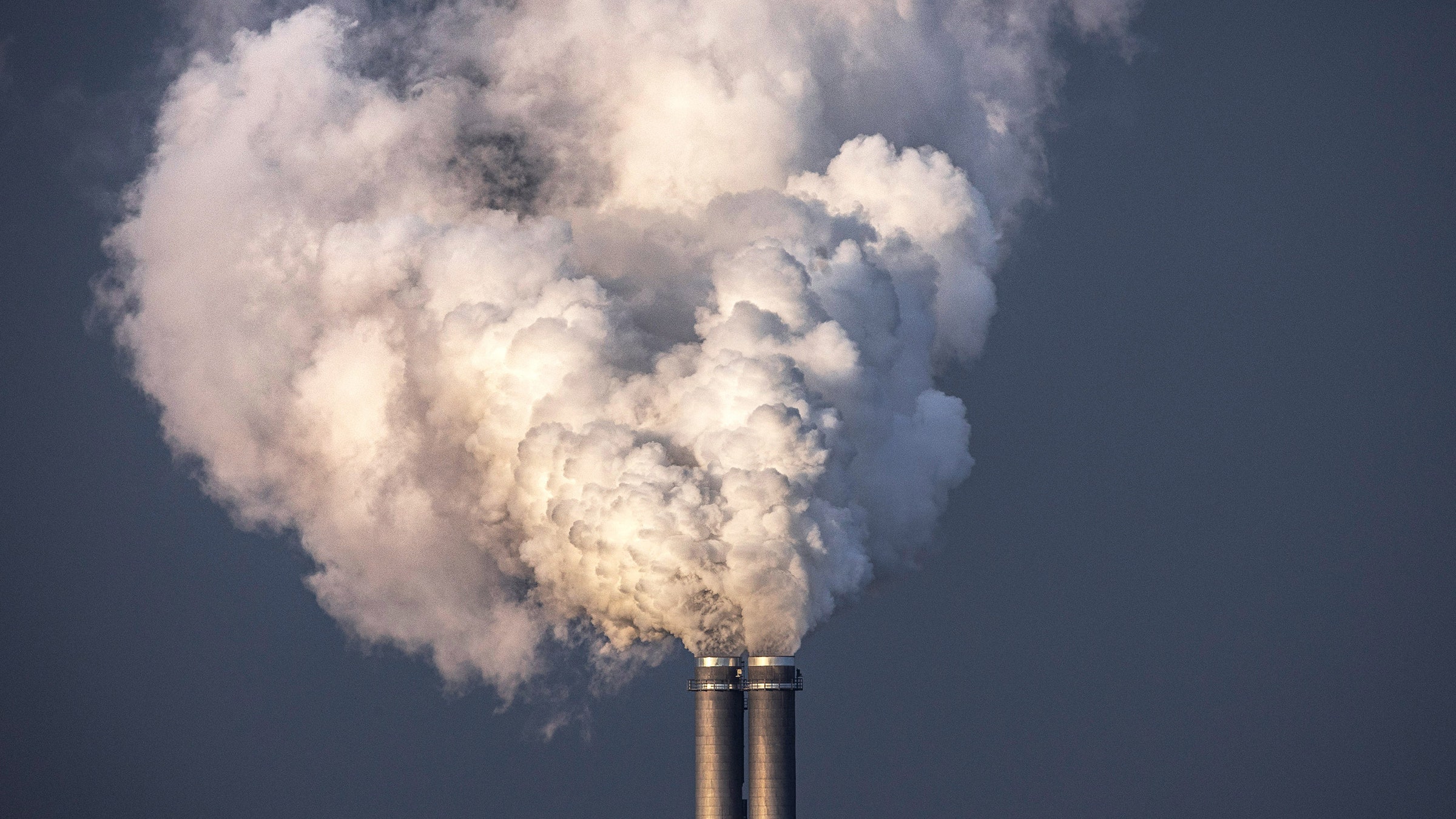 küresel karbon piyasası