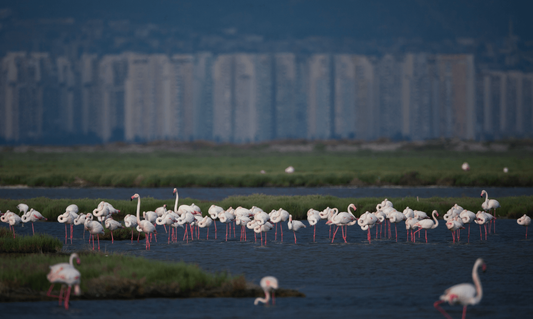 İzmir Körfez Geçişi