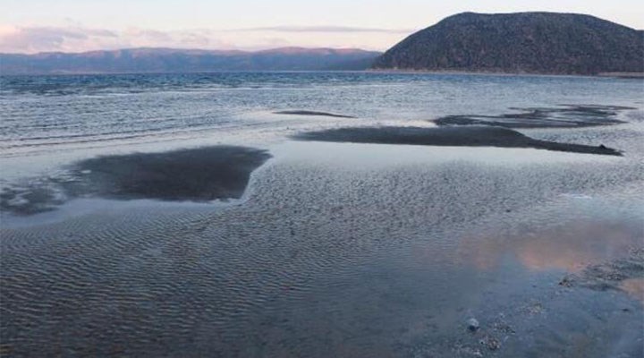 salda