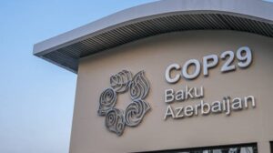 COP29