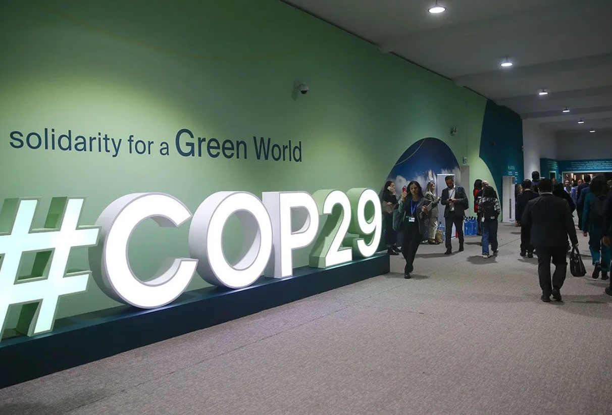 COP29