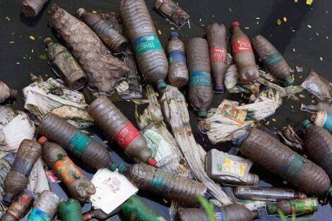 plastik kirliliği