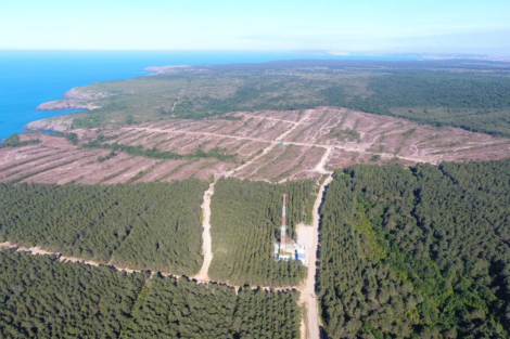 sinop