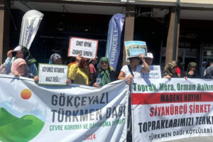 danıştay