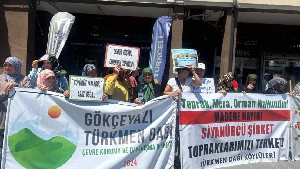 danıştay