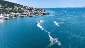 marmara