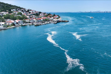 marmara