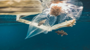 plastik
