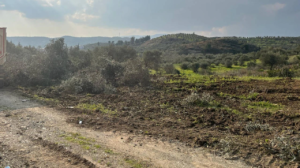 maden kanunu