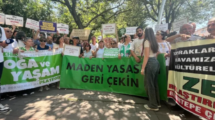maden yasası