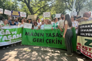 maden yasası