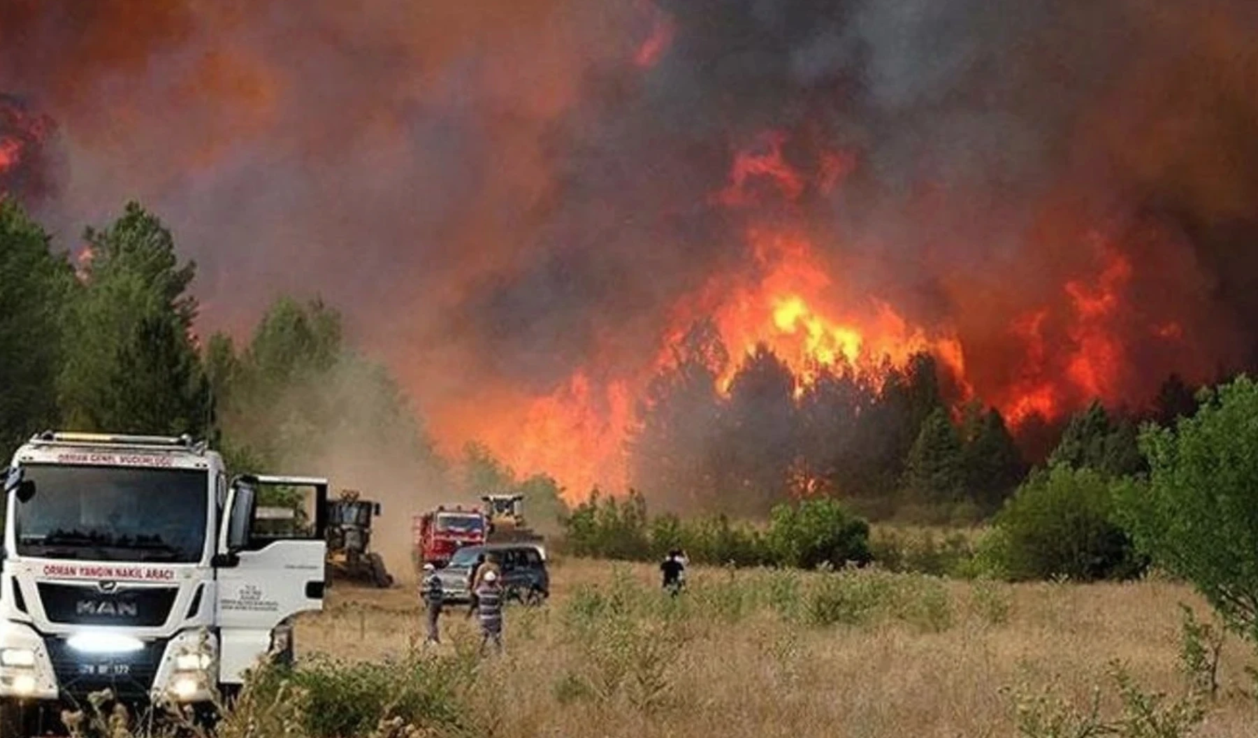 orman yangını
