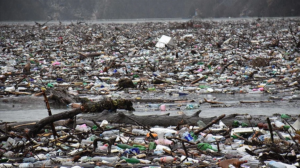 plastik anlaşması
