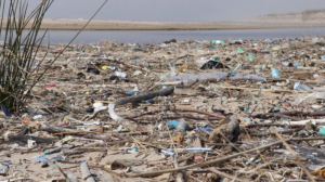 plastik