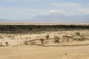 afrika