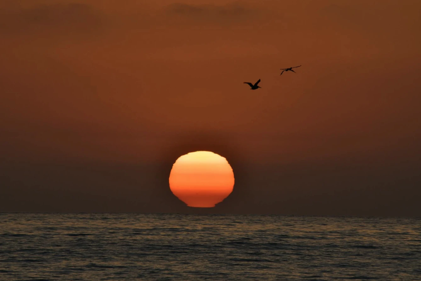 sıcak hava dalgası