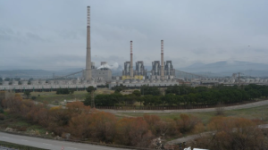 soma