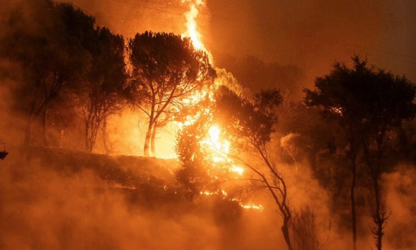 orman yangını