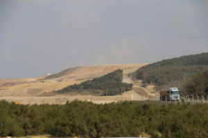 kuzey ormanları