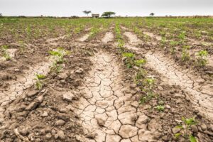 aşırı hava olayları