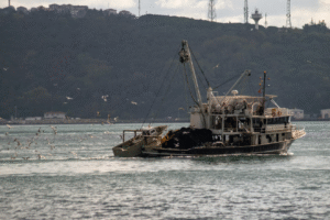 iklim değişikliği