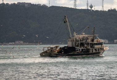 iklim değişikliği