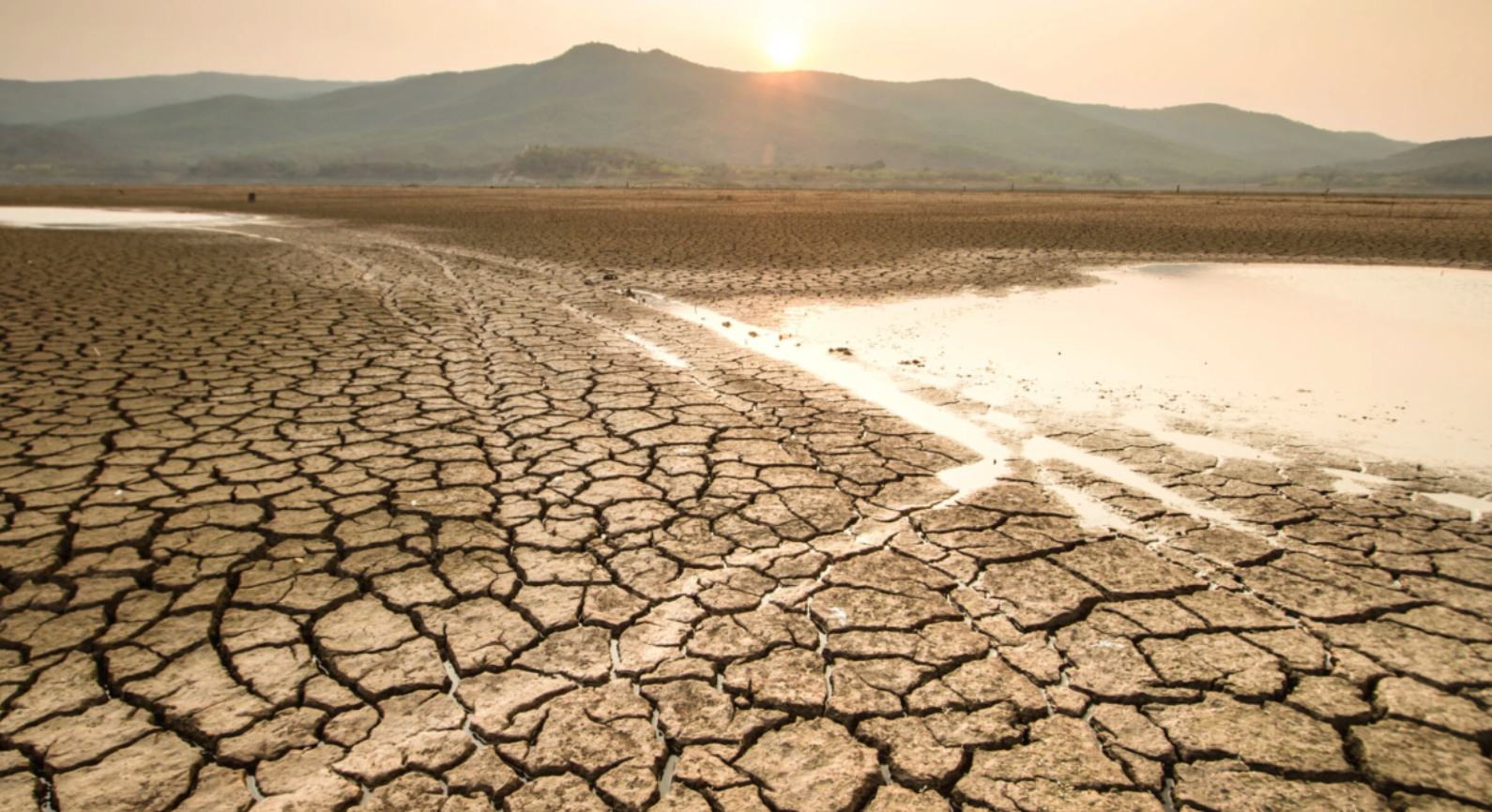 2025’te Yağışlı Gün Sayısı Yüzde 14 Düştü