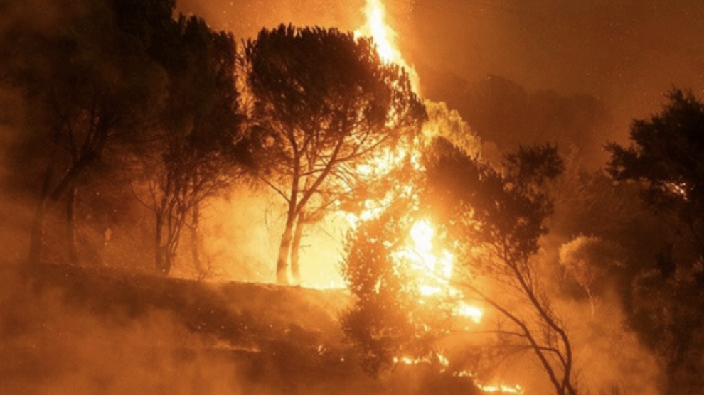 orman yangınları