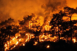 aşırı hava olayları