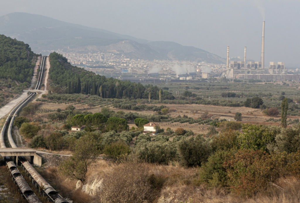 COP31