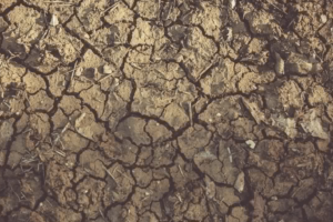 sıcak hava dalgaları