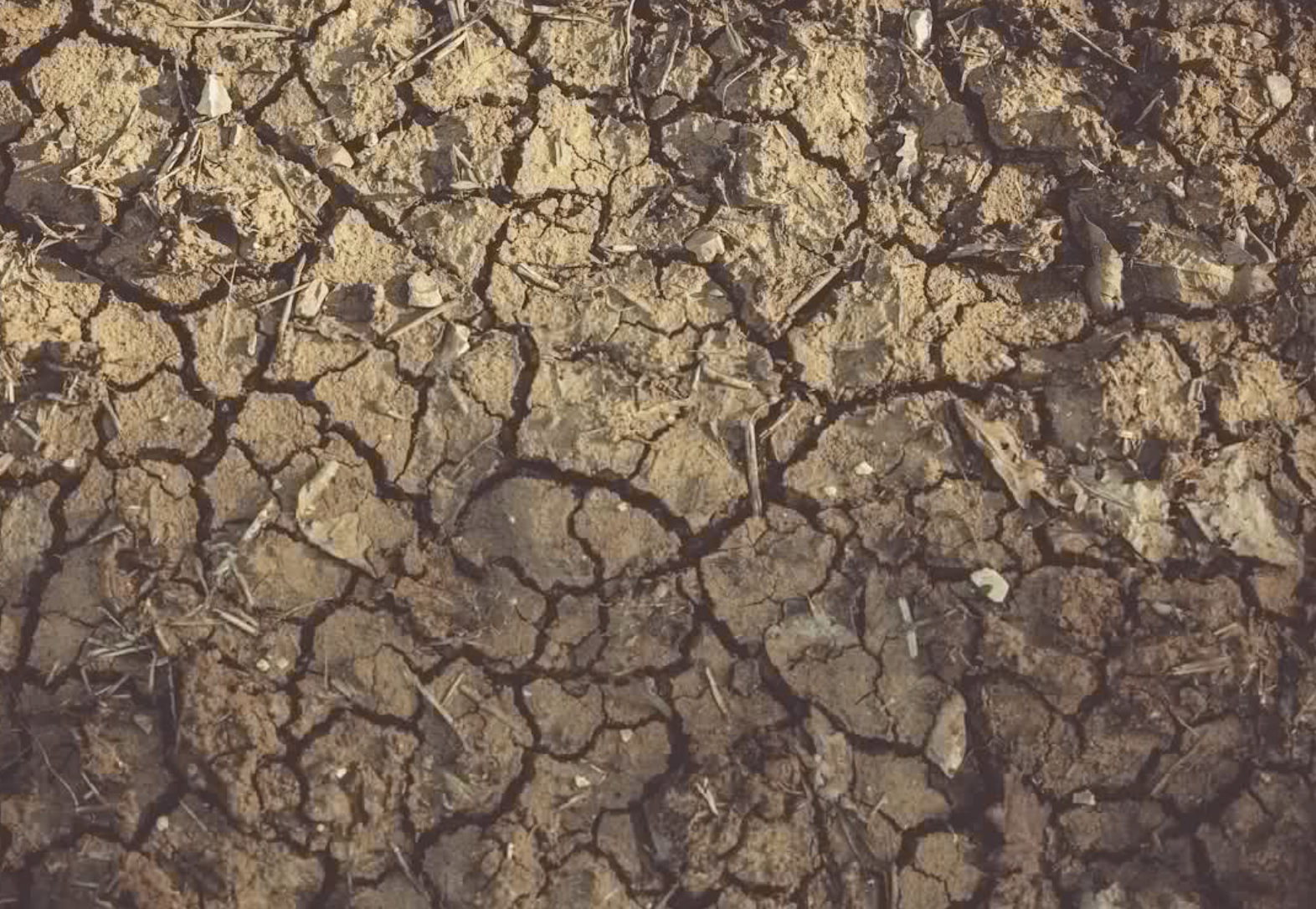 sıcak hava dalgaları