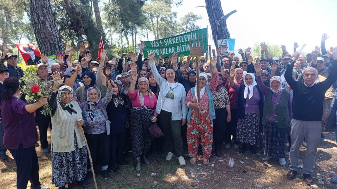 Danıştay’dan Akbelen’de Acele Kamulaştırmaya Yürütmeyi Durdurma