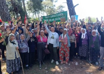 Danıştay’dan Akbelen’de Acele Kamulaştırmaya Yürütmeyi Durdurma