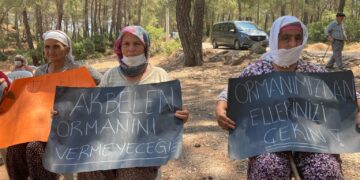 “Akbelen Kararı, Doğayı ve Yaşam Alanlarını Savunan Yurttaşlar için Önemli Bir Kazanım”