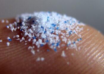 mikroplastik