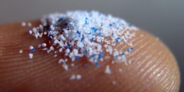 mikroplastik