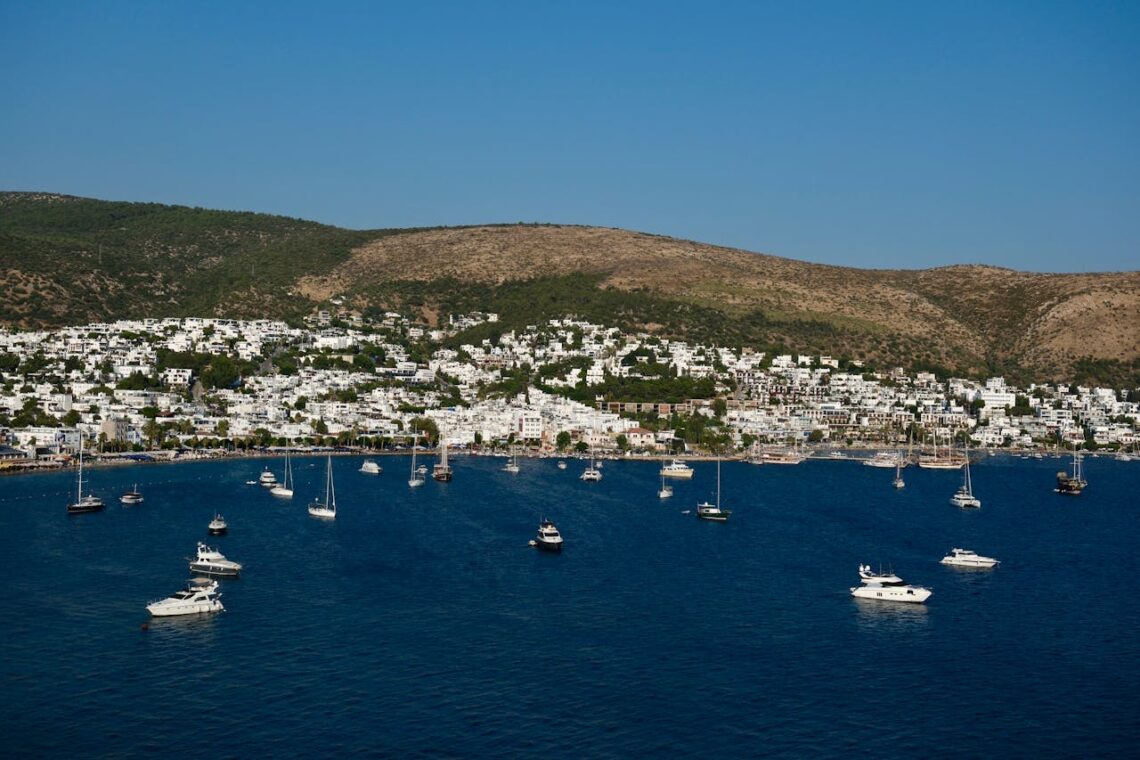 Bodrum Kıyılarındaki Deniz Çayırları için Koruma Çağrısı: “Herkes Bu Dönüşümün Bir Parçası Olmalı!”
