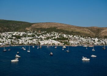 Bodrum Kıyılarındaki Deniz Çayırları için Koruma Çağrısı: “Herkes Bu Dönüşümün Bir Parçası Olmalı!”