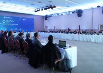 cop31
