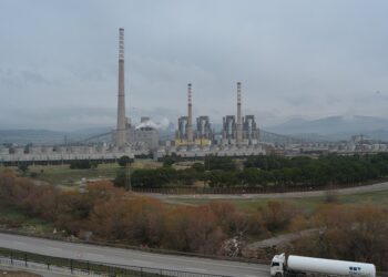 soma