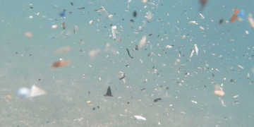 mikroplastik