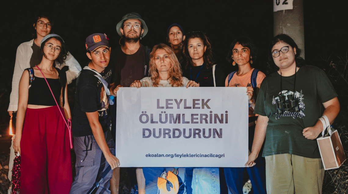 leylek