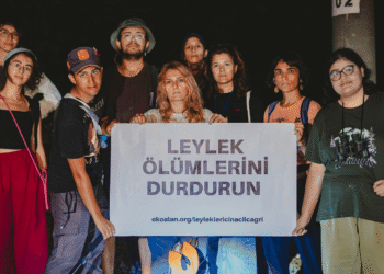 leylek
