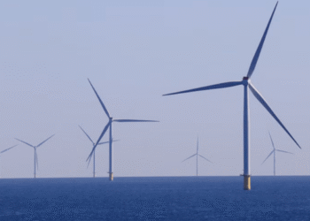 deniz üstü rüzgar enerjisi
