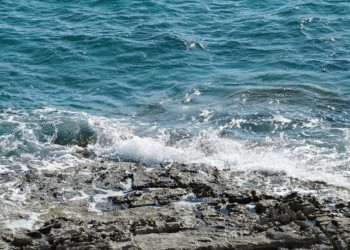 akdeniz