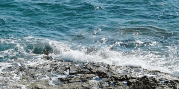 akdeniz